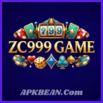 ZC999 Game