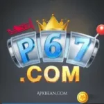 p67 game
