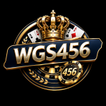 WGS456 Game