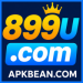 899U Game