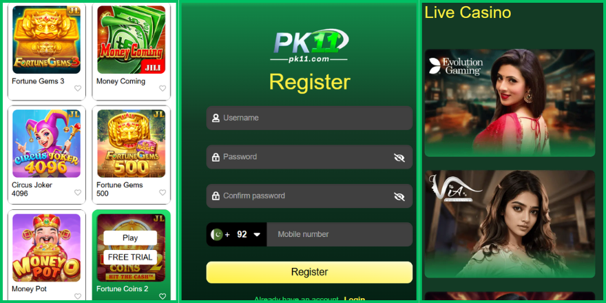 PK11 Game