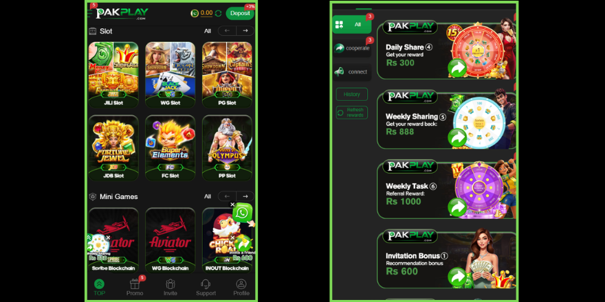 PAKPLAY Game