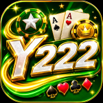 Y222 Game