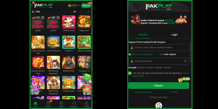 PAKPLAY Game
