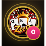 ZEE9 Game